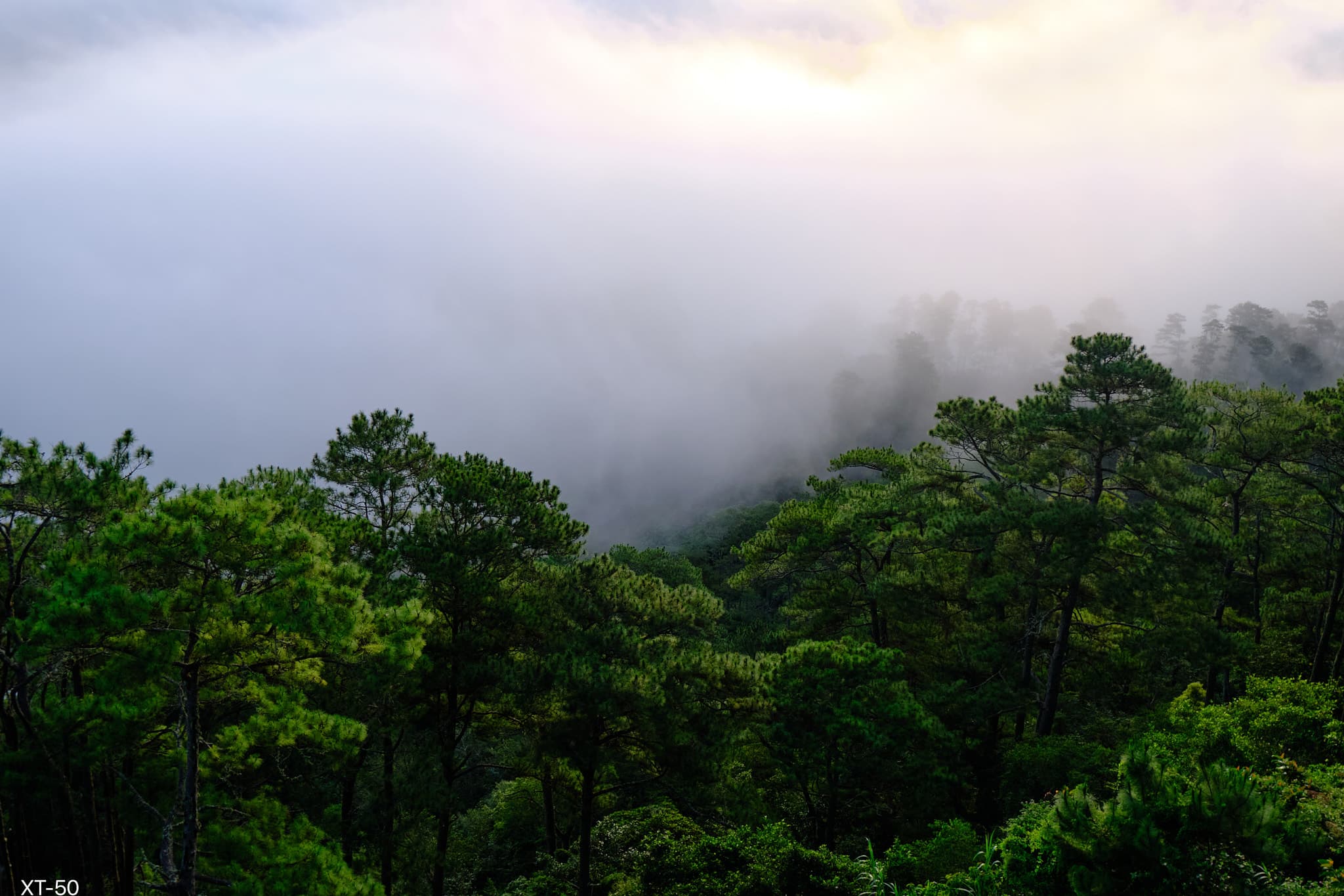 Sagada mountain slope