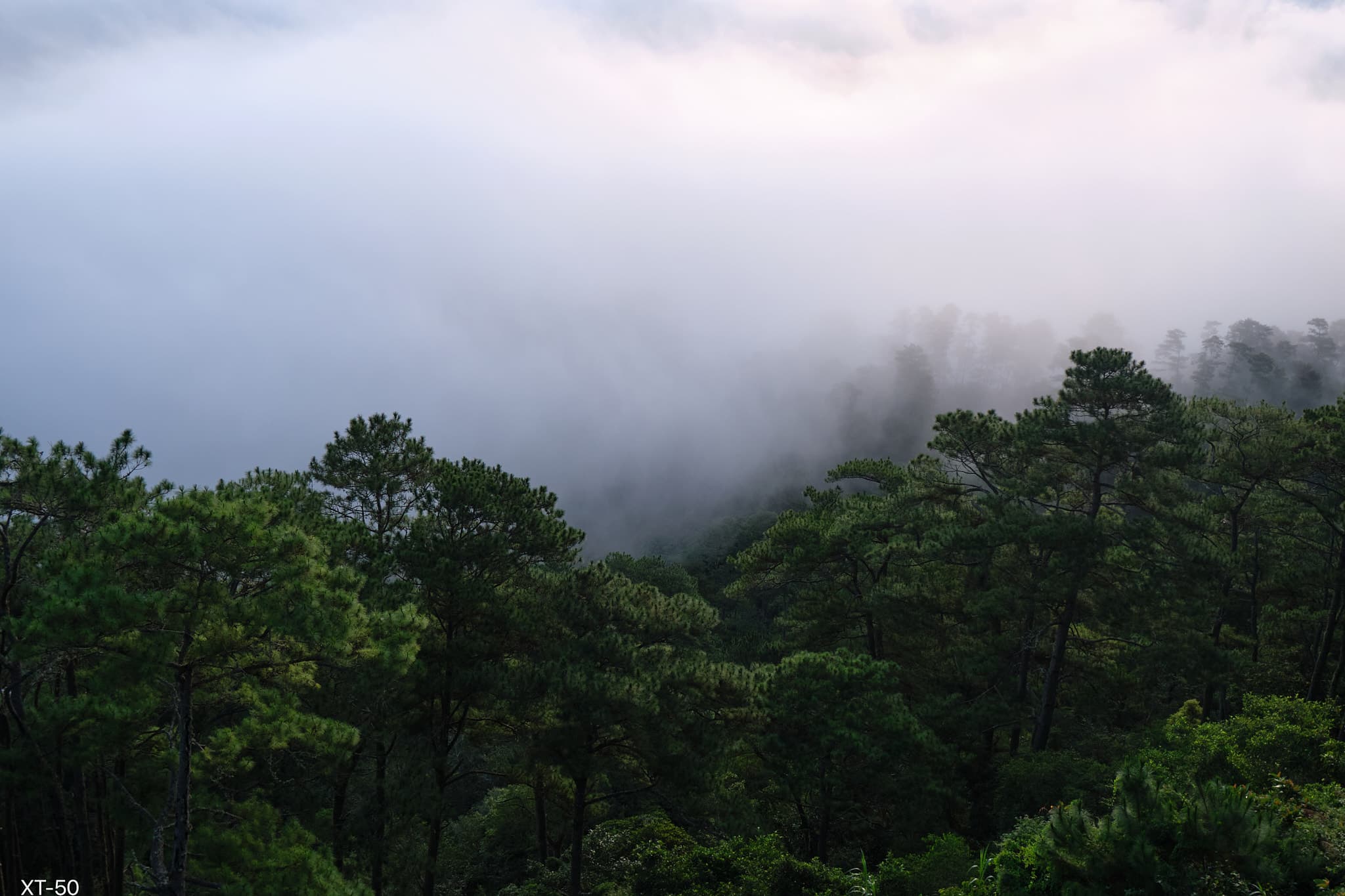 Sagada open ridge