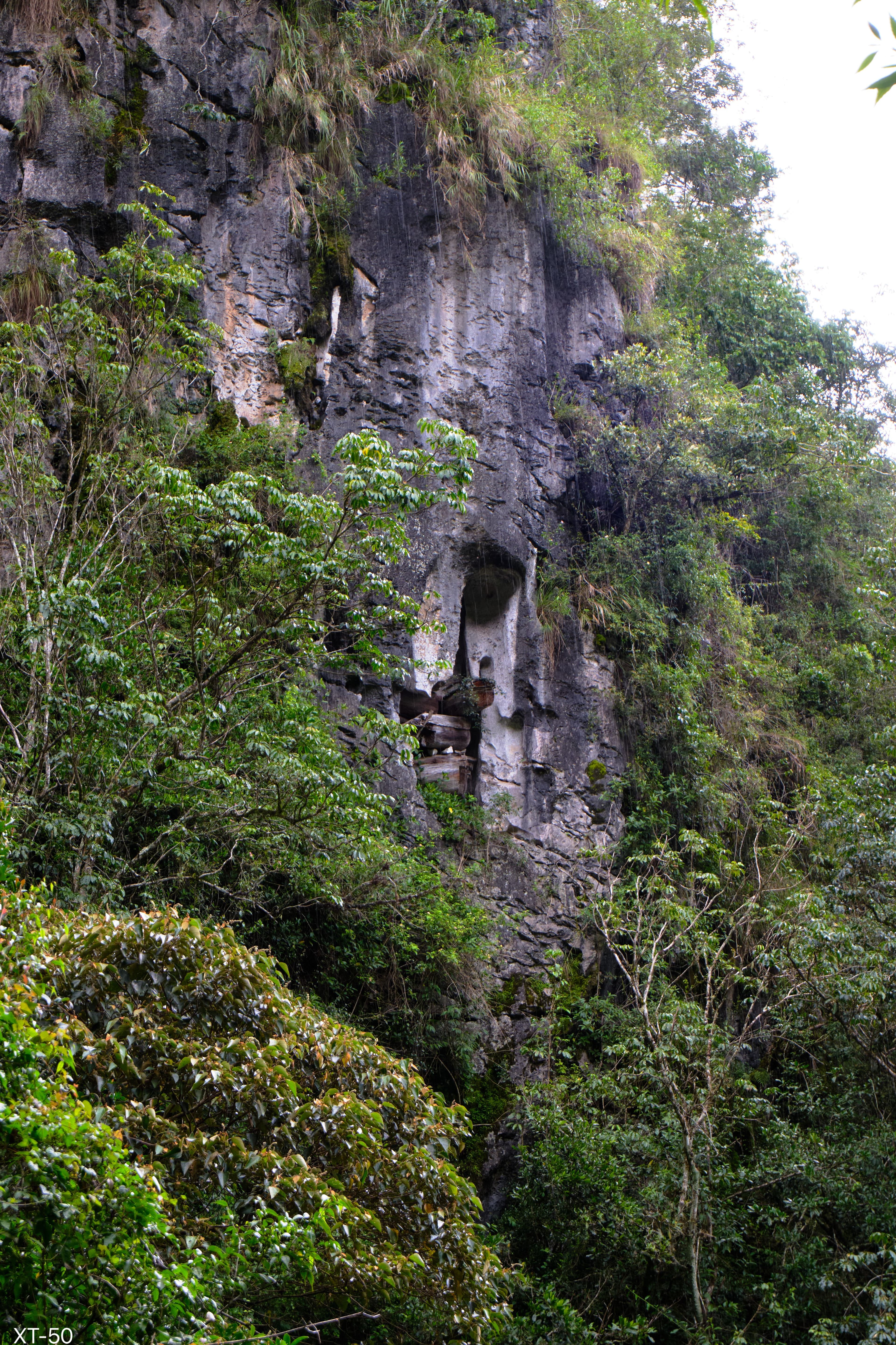 Sagada: Chasing Cloud Sea at 1,500m