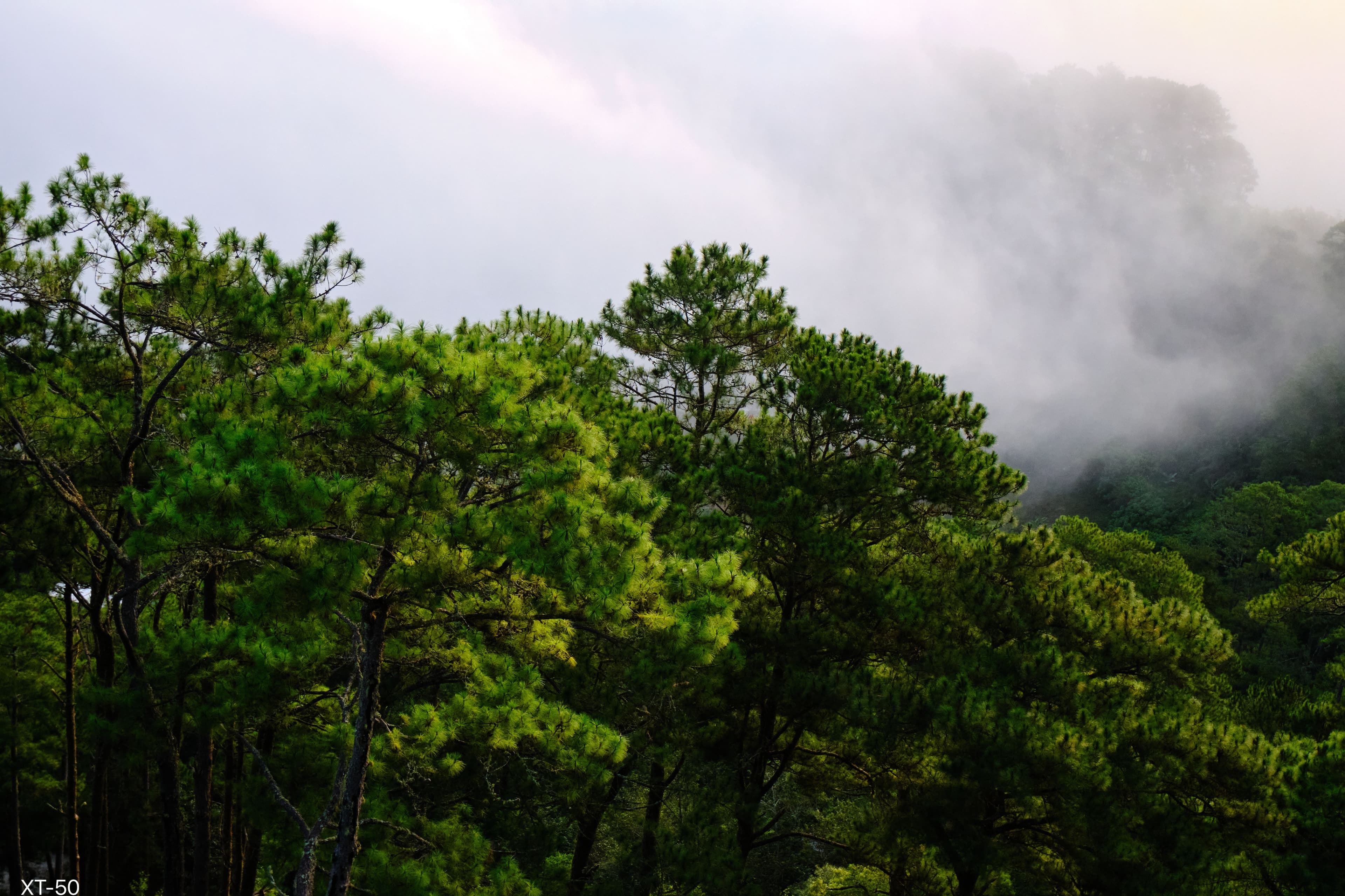 Archive photo