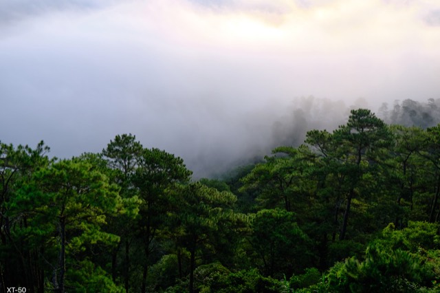 Sagada mountain slope